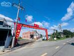 Bán đất phường Tân Triều (xã Tân Bình cũ), đường Bình Hòa-Cây Dương 196m2 ngang 8m giá chỉ 3.5 tỷ