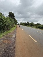 bán đất khu dân cứ bên đường ql14. xã thuận an. tỉnh lâm đồng. trong quy hoạch thổ cư.