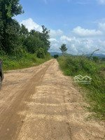 đường to - diện tích lớn - siêu rẻ chỉ 499tr 5400m2( tách sẵn 3 sổ) ea sô ea kar- daklak