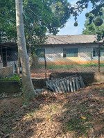 bán trang trại 22851m2 tại đường tỉnh lộ 217, cẩm tân, cẩm thủy, thanh hóa, giá siêu hời 2,2 tỷ