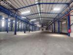 CHO THUÊ XƯỞNG KCN CỦ CHI, TPHCM 3500M2 PCCC TỰ ĐỘNG