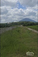 bán đất dt 1000m2, đt 784b, phước ninh, dương minh châu, tây ninh, giá cực chất 750 triệu vnd