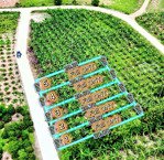 đất nền giá f0 mặt tiền bêtong - đất ở 100% thoải mái xây dựng. ngay khu dân cư