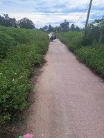 bán đất nền 454m² giá chỉ 110 triệu sổ riêng, đường bê tông, gần dân cư tại đồng tràm, mộ đức