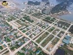 tháng 11 năm 2025 đất dự án thống nhất vân đồn