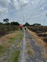 bán đất tân châu tây ninh 5x33m thổ cư 60m² giá 390tr liên hệ 