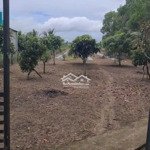 bán đất tại xã long vĩnh, gò công tây, tiền giang, 2,8 tỷ, 4276,1 m2 giá siêu hời