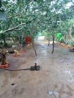 bán đất tà lài tân phú đồng nai sản phẩm đầu tư nghỉ dưỡng gần khu vực sân bay long thành