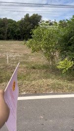 chính chủ cần bán gấp đất mặt tiền đường đt795, tân thành, tân châu sổ sẵn, sang tên ngay!