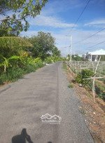 bán 1000m2 (20 x 50m) nhựa thọ khương, xã bình phú, gò công tây