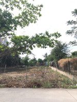 bán đất nền thổ cư mặt tiền đường hà quang vóc, bình khánh, cần giờ giá 15.5 tr/m2.