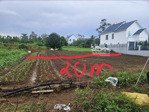 bán gấp đất quy hoạch thổ cư 1100m2 tại lê đại hành, lộc thắng, bảo lâm, giá cực chất 3,2 tỷ