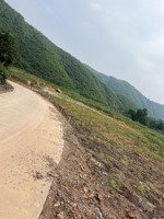 100ha đất rừng tại thanh sơn- phú thọ. thích hợp cho ac trồng cây dược liệu. chủ cần bán gấp