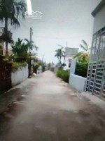 chính chủ bán đất nam thịnh, tiền hải, thái bình hưng yên. 490 triệu.