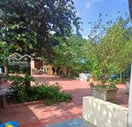 bán nhà cổ động, thanh hải, thanh liêm, 85m2 mặt tiền 20m giá 3 tỷ