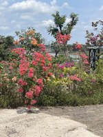 bán lô đất đẹp mua sinh lời cao. vị trí gần hồ nước đẹp như tranh