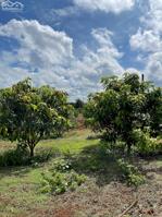 Chính Chủ Bán 4600m2, Đất Mặt Tiền Tại Thôn 6, Xã Ea Bar , Buôn Đôn, Đắk Lắk