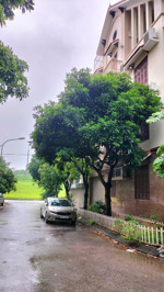 p.lô biệt thự-cay xanh-thạch bàn-cạnh mầm non hoa anh đào - nhà đẹp khuôn viên thoáng 101m mt 7,15