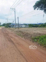 chốt lãi ngay. đất 1000m2 ngay kcn tân tiến đồng phú 275 triệu