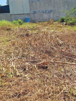 bán đất thổ cư sổ hồng chính 5x20m bình mỹ củ chi -2,180ty