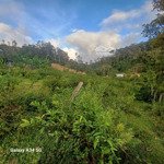 bán đất 1900m2 có 400m2 thổ cư tại đường 676, măng cành, kon plông, kon tum, giá tốt 7,5 tỷ