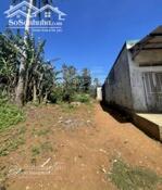 Góc 2 Mặt Hẻm Buôn Riêng Ngay Km19 Chợ Ea Knuec 10X43 Tc180M2 Chỉ 700Tr Quỳnh Anh