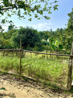 bán 10ha có 400m2 thổ cư siêu đẹp và hiếm ngay trung tâm xã