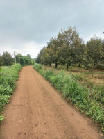 bán nhanh lô đất hơn 5,5ha mặt tiền đường bê tông rộng rãi, giá chỉ 15,9 tỷ