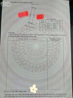 Bán Đất Mặt Đường 203 – Vị trí siêu đẹp,Giá chỉ hơn 4 tỷ