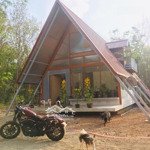 bán trang trại gần chợ phú riềng, trường cấp 1, cấp 3