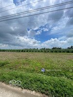 cần bán gấp đất xã tân điền, gò công đông, tiền giang gần biển tân thành, 150m2/350tr, shr, thổ cư