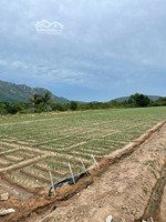 bán 6ha đất trồng cây lâu năm, sổ đỏ chính chủ gần khu du lịch hồ đá bạc