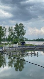 đất mặt tiền sông đường nhựa ô tô, có 50m² thổ cư, sổ riêng, chủ bao san lấp, giá chỉ 750 triệu/lô.