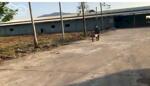 Bán nhà xưởng giá rẻ tại xã Xuân Hưng huyện Xuân Lộc tỉnh Đồng Nai.