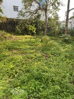 bán đất đường nguybán đất đường nguyễn tri phương, lộc tiến, bảo lộc, lâm đồng, giá cực chất, 326m2