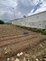 CHÍNH CHỦ CẦN BÁN GẤP LÔ ĐẤT VỊ TRÍ ĐẸP NGAY FINOM, XÃ HIỆP THẠNH, ĐỨC TRỌNG, LÂM ĐỒNG