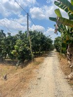 bán đất xã mỹ an, chợ mới, an giang 2,5 tỷ, 6700 m2 hàng hiếm tại đia phương