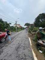 hàng f0 cực hiếm tầm tang, mễ sở văn giang