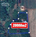 bán 2 héc tại iako nguồn thu mạnh 1 tỷ 1 năm