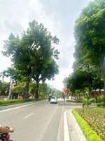 không thể tìm ra căn thứ hai tại mặt phố lạc long quân, căn nhà logoc 7 tầng thang máy, view hồ tây