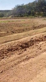 bán sỉ lẻ đất tân lợi tìm năng giá rẻ