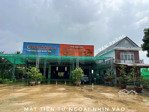 cho thuê kho xưởng bãi 4.000m², đường nam sông hậu, tt. trần đề, có cẩu và điện 3 pha, lộ container