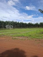 đất nền phân lô sổ sẵn tại khu cn minh thắng, chơn thành bình phước