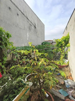 gần trung tâm nhà bè đất trống 63m sổ hồng riêng chỉ 2.6 tỷ - 4 x16 m 