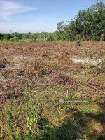 bán gấp nền tách thửa 840m2 tại minh thành, chơn thành, bình phước,