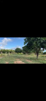 bán đất nông nghiệp gần biển giá chỉ 600k/mv