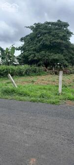 Bán 4000m đất mặt tiền xã Bưng Riềng-huyện Xuyên Mộc- BàRịa Vũng Tàu. Giá 6.8 tỷ có TL.