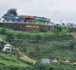 giáp homestay đambri top view - lý thái tổ, p2, bảo lộc 500m2 giá 1 tỷ