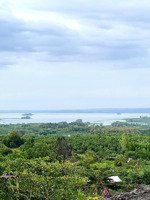 đất vườn điều cổ thụ view hồ trị an - ngay đường đức huy - giá chỉ 980tr