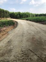 bán 190ha đất xã tân thắng, hàm tân, bình thuận giá 2,5 tỷ/ha